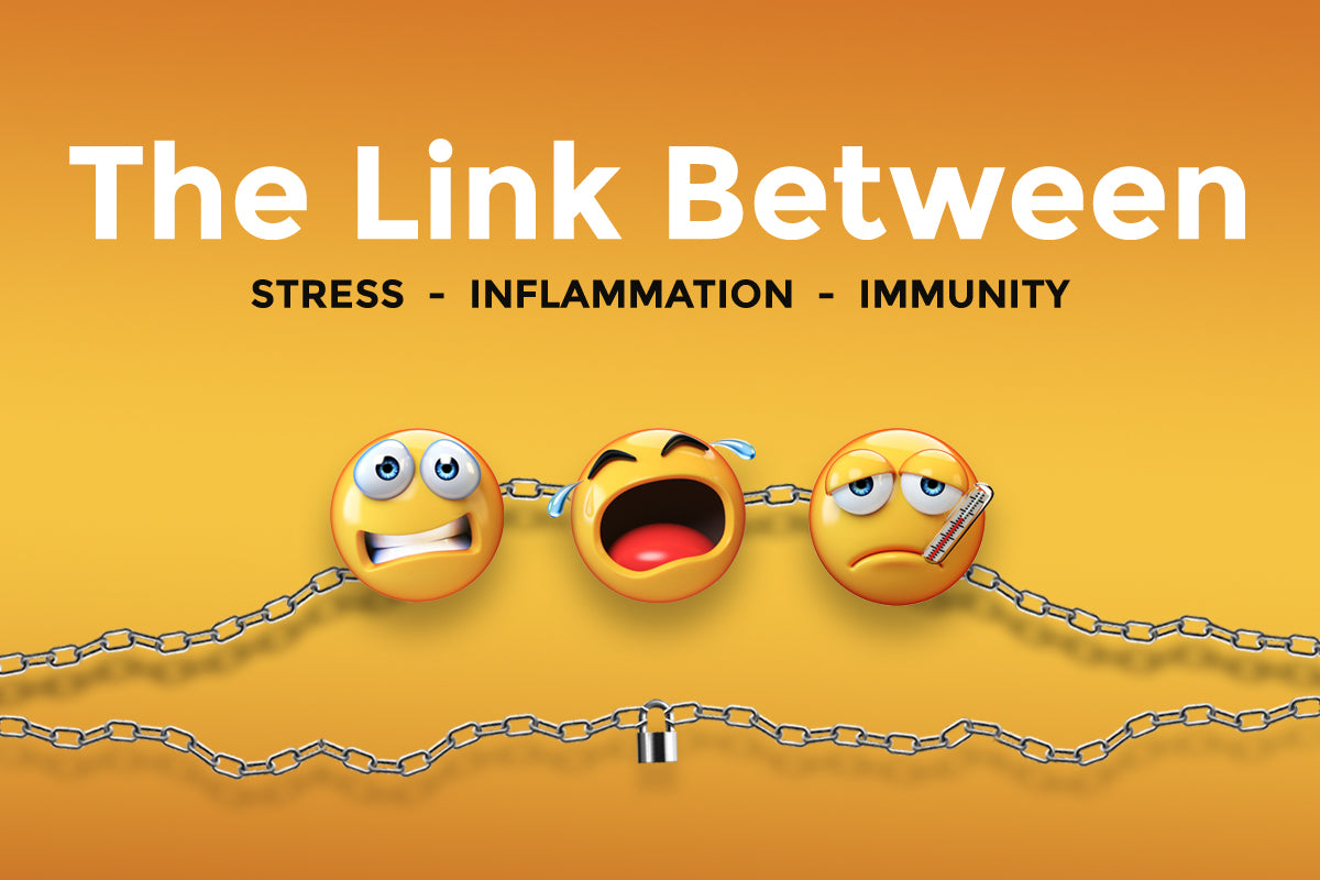The Link Between Stress, Inflammation & Immunity