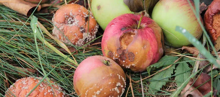 Oxidative Stress: How to Spot The Signs & Get Better