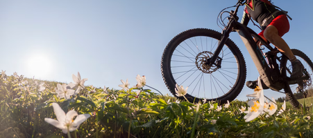 The Best Energy Supplements For Less Fatigue and More Stamina