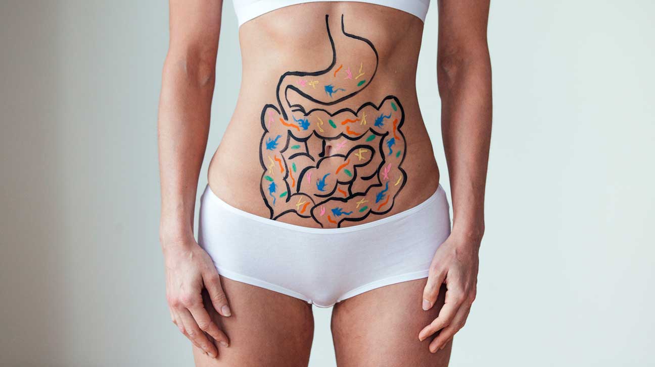 Gut Health: How Your Gut Affects Every Part of Your Body