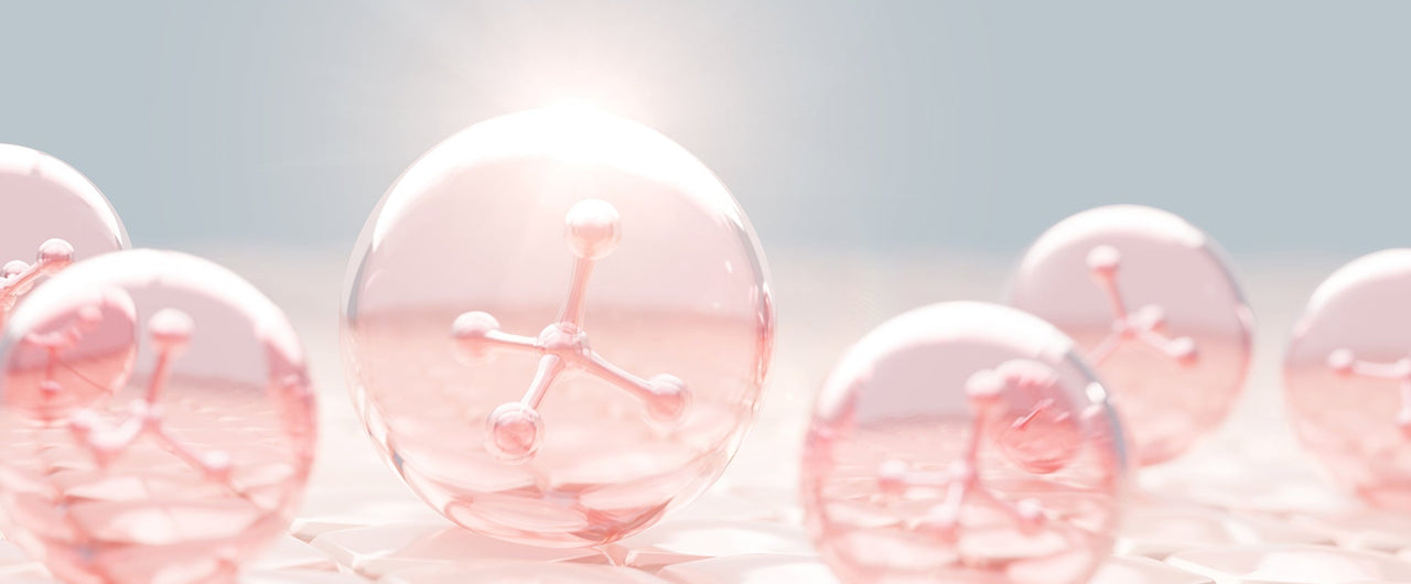 Bovine Collagen & Marine Collagen: What Are They, and How to Choose a Supplement