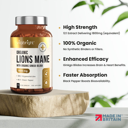 Lion's Mane Supplement