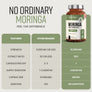 Moringa Capsules - High Dose 10,000mg Concentrated Extract