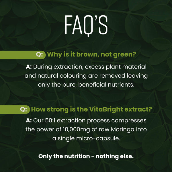Moringa Capsules - High Dose 10,000mg Concentrated Extract