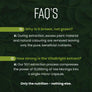 Moringa Capsules - High Dose 10,000mg Concentrated Extract