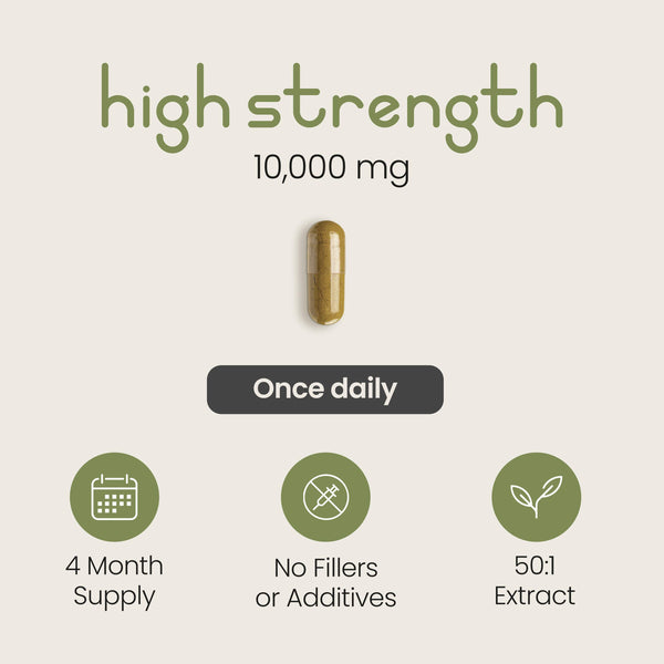 Moringa Capsules - High Dose 10,000mg Concentrated Extract