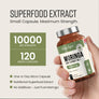 Moringa Capsules - High Dose 10,000mg Concentrated Extract