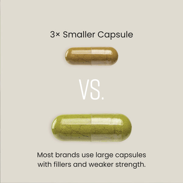 Moringa Capsules - High Dose 10,000mg Concentrated Extract