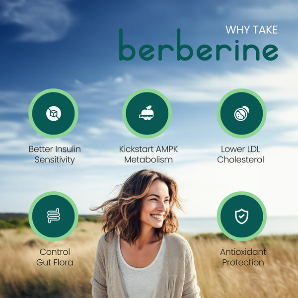 High Strength 98 Berberine HCL Capsules VitaBright