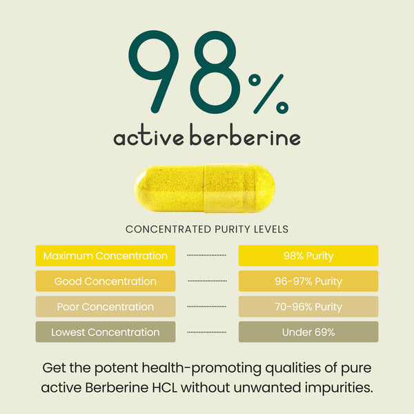 blog-1-1 Berberine HCL Capsules - High Strength 98% Extract