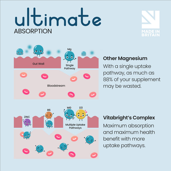 Magnesium Complex 6in1 VitaBright