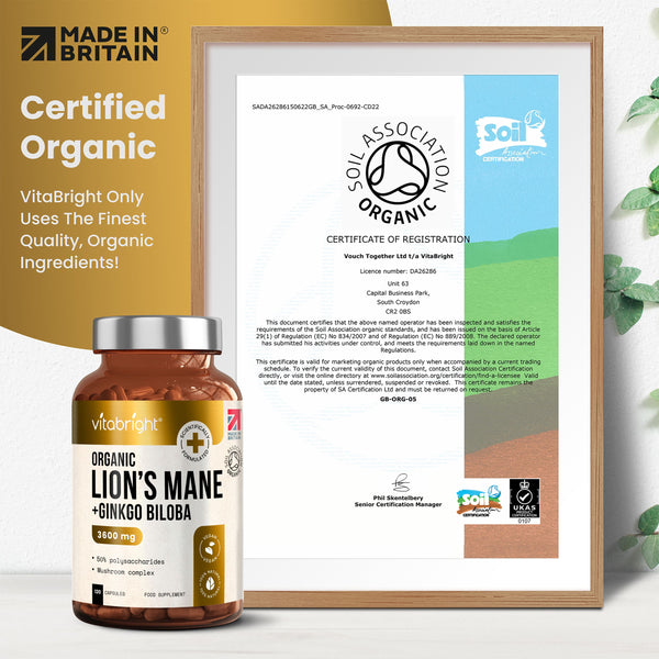 Lion's Mane Supplement