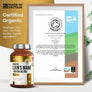 Lion's Mane Supplement