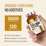 Lion's Mane Supplement