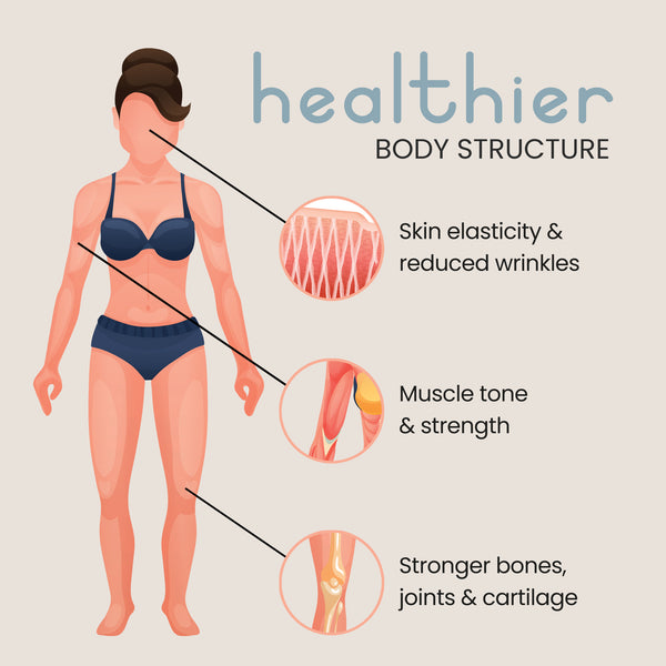 Bovine Collagen Powder