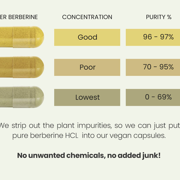 Berberine Capsules - High Strength 98% Berberine HCL - 90 x 500mg Capsules