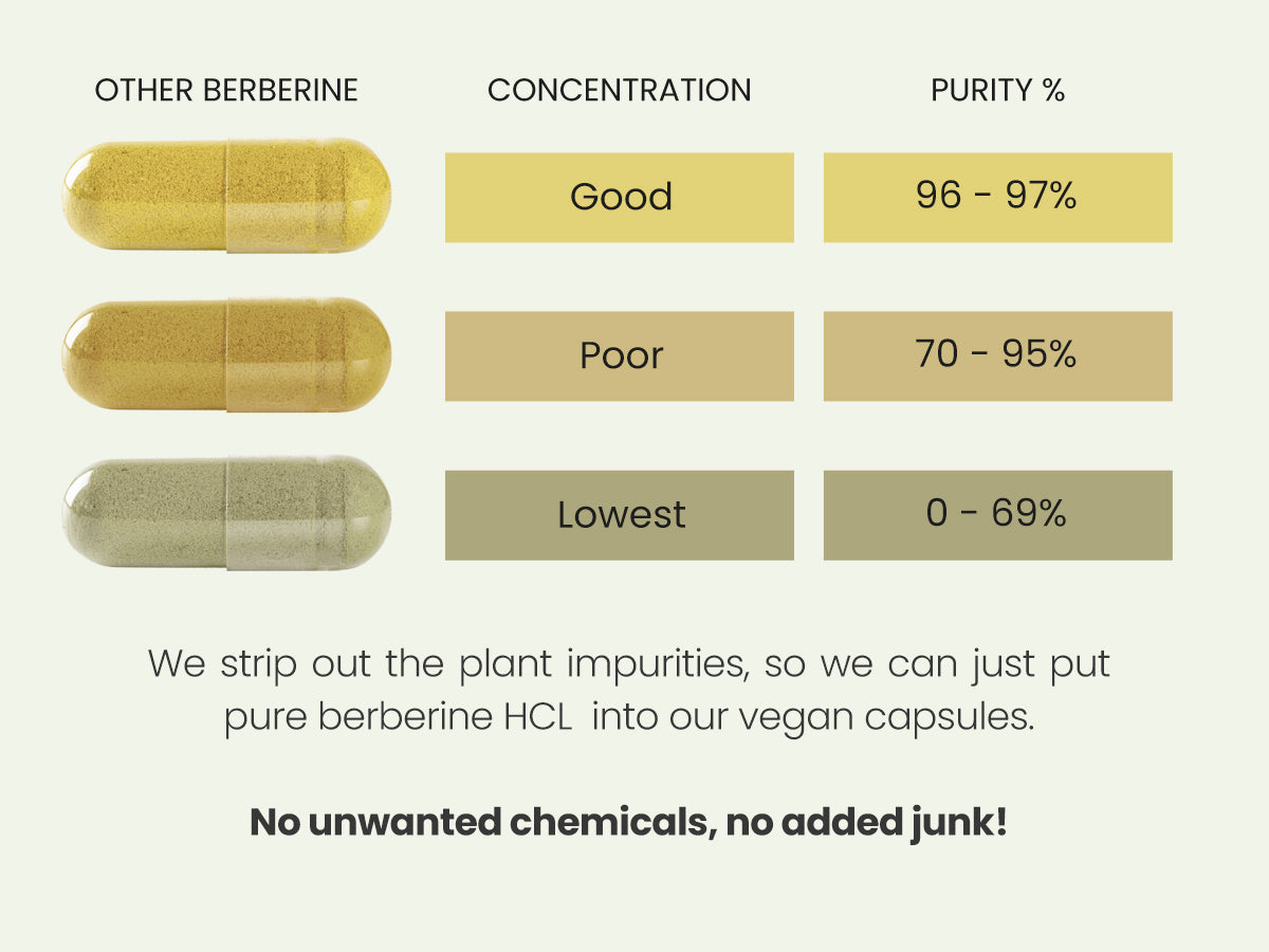 High Strength 98% Berberine HCL Capsules – VitaBright