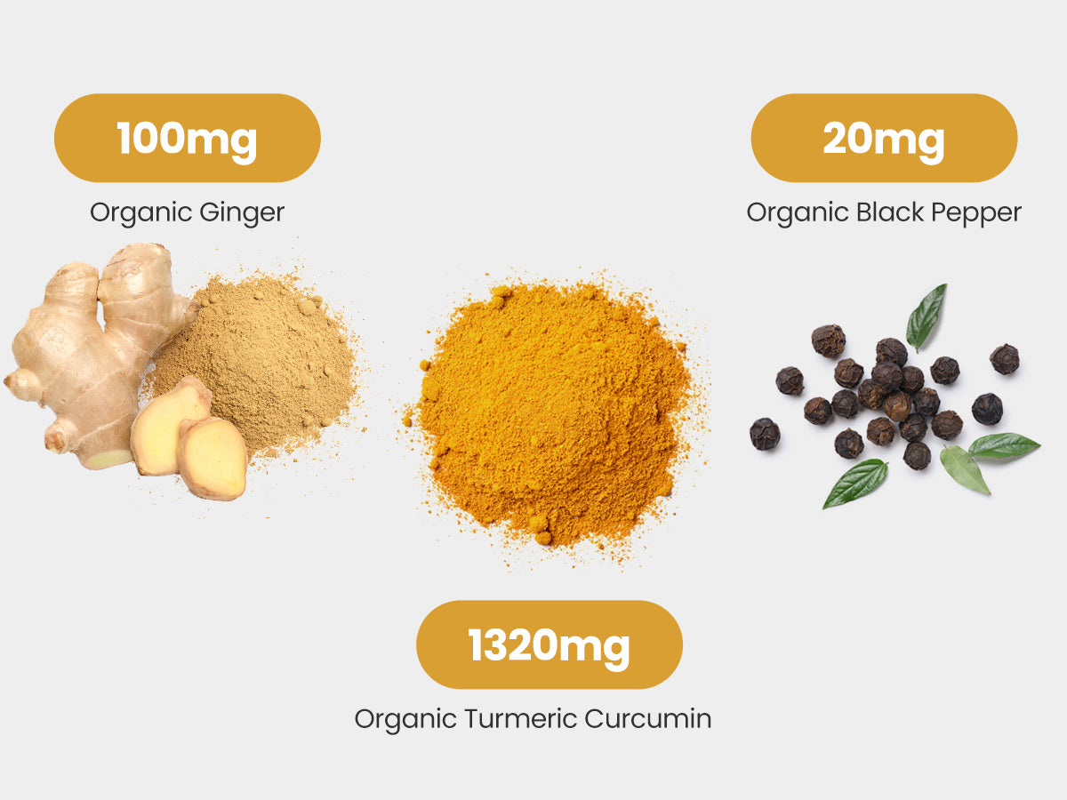 Organic Turmeric Curcumin 1440mg with Organic Black Pepper & Organic Ginger by VitaBright